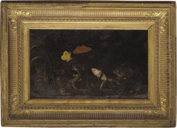 A Forest Floor With Frogs, A Lizard, A Snail And Butterflies Oil Painting by Otto Marseus Snuff. Van Schrieck