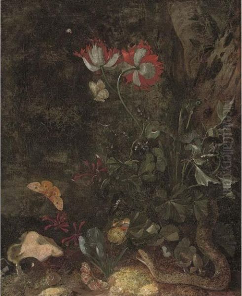 A Forest Floor Still Life With A Snake Oil Painting by Otto Marseus Snuff. Van Schrieck