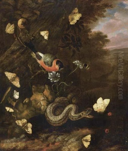 Forest Still Life With Snake, Butterflies, Bumble Bee And Bird. Oil Painting by Otto Marseus Snuff. Van Schrieck