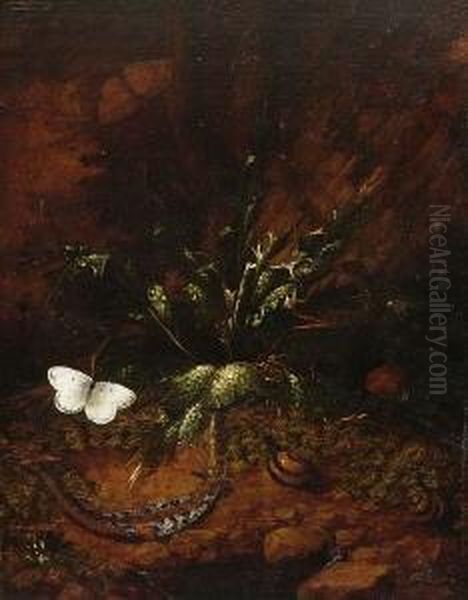 Waldstucke Mit Reptilien Und Schmetterlingen. Oil Painting by Otto Marseus Snuff. Van Schrieck