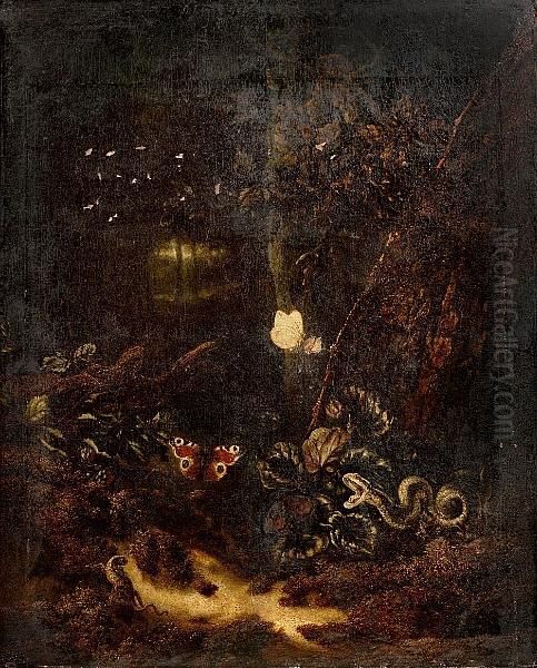 A Forest Floor Still Life With A Snake, Two Butterflies And A Lizard Oil Painting by Otto Marseus Snuff. Van Schrieck