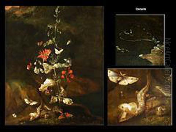 Stilleben Mit Bluhender Bohnenranke, Nelken, Schmetterlingen Undkriechtieren Oil Painting by Otto Marseus Snuff. Van Schrieck