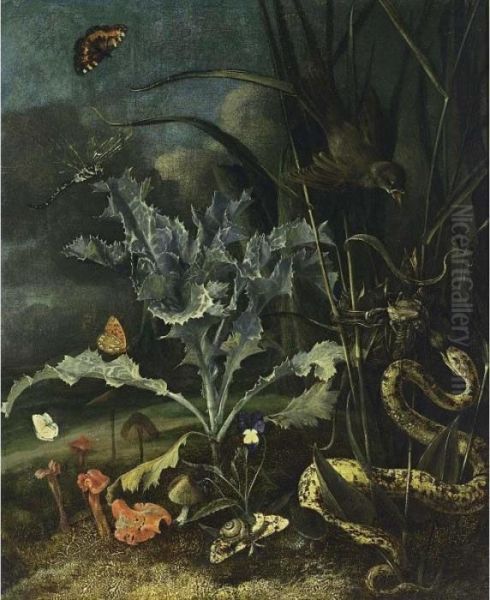 A Forest Floor Still Life With A
 Milk Thistle, Mushrooms, A Wood Snail, A Blue, A Queen Of Spain 
Fritillary, An Emperor Moth, A Tortoise Shell, A Dragon-fly, Together 
With An Aspis Adder Taking A Fledgeling From A Nest Of A Sedge-warbler Oil Painting by Otto Marseus Snuff. Van Schrieck