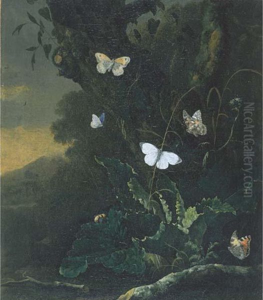 A Forest Floor Still Life With A Small Tortoiseshell Oil Painting by Otto Marseus Snuff. Van Schrieck