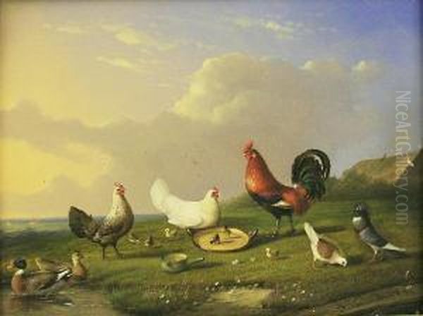 Chickens, Ducks And Pidgeons In A Landscape Oil Painting by Joseph Van Severdonck