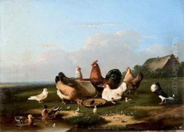 Mare Aux Poules Et Canards Oil Painting by Joseph Van Severdonck