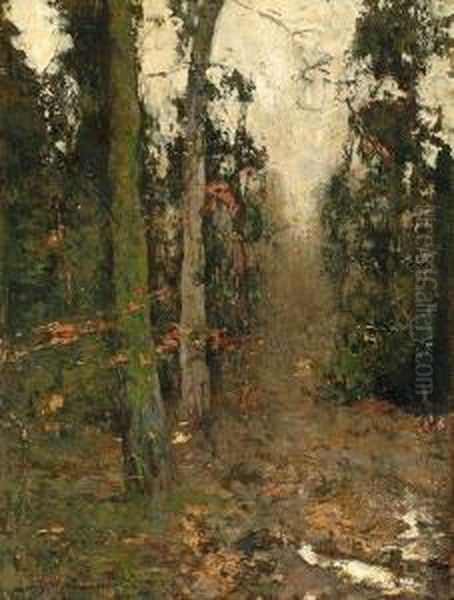 View Of A Forest Oil Painting by Louis Willem Van Soest