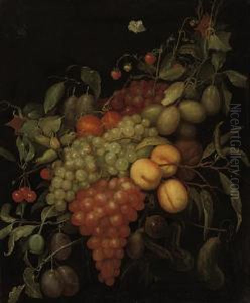 Peaches, Plums, Grapes, Cherries And Strawberries And Other Fruit,a Fly And A Butterfly Oil Painting by Joris Van Son