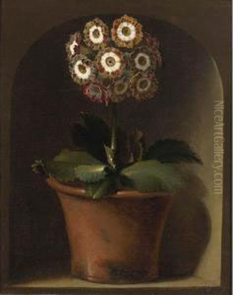 An Auricula In A Pot In A Niche Oil Painting by Cornelis van Spaendonck