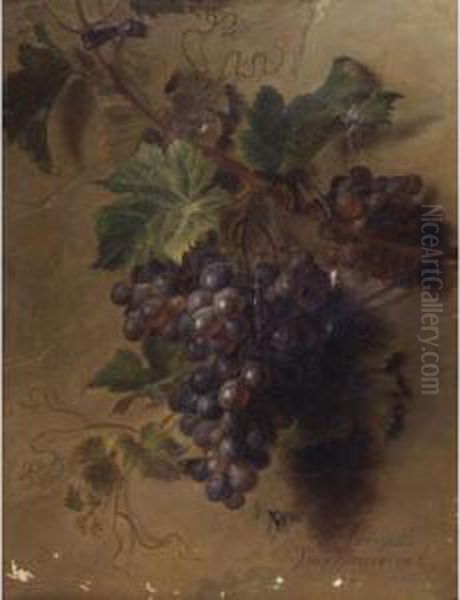 A Bunch Of Grapes Hanging On A Wall Oil Painting by Cornelis van Spaendonck