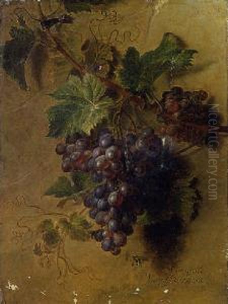 Grapes Hanging On A Wall Oil Painting by Cornelis van Spaendonck