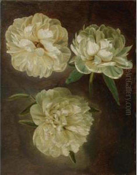 Study Of White Peonies Oil Painting by Gerard Van Spaendonck