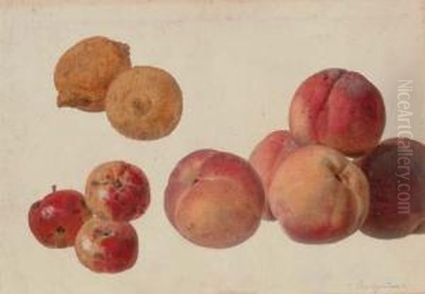 A Study Of Peaches, Lemons And Crabapples Oil Painting by Gerard Van Spaendonck