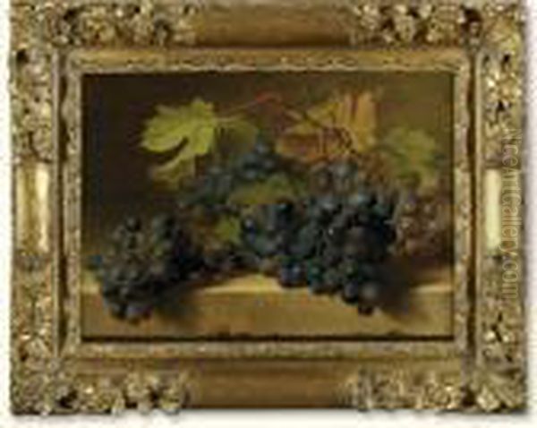 Black Grapes On A Marble Edge Oil Painting by Gerard Van Spaendonck