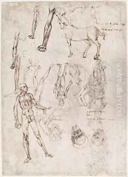 Sheet of studies with men and horses seated man striking an anvil two heads of saints Oil Painting by Francesco di Simone da Fiesole Ferrucci