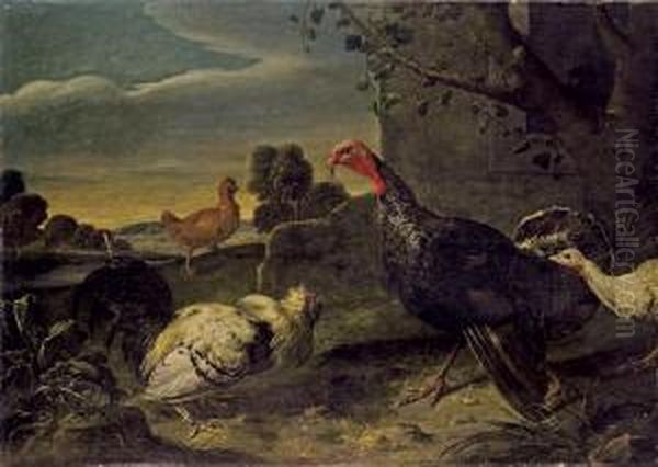 Dindons Et Poules Oil Painting by Adriaen van Utrecht