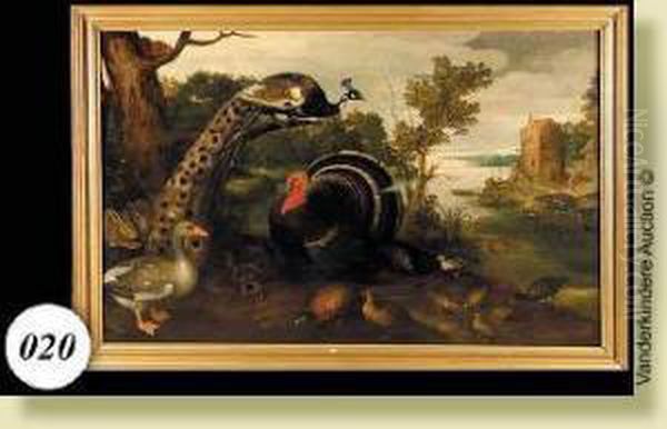 Dindon, Paon, Canard, Oiseaux Et Petits Animaux Au Bordde L'eau Oil Painting by Adriaen van Utrecht