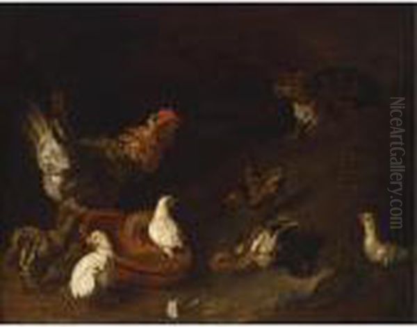 Poultry Near An Earthenware Bowl Together With A Cat Oil Painting by Adriaen van Utrecht