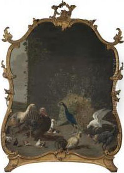 An Assembly Of Birds In An Exterior, Including A Peacock And A Turkey Oil Painting by Adriaen van Utrecht