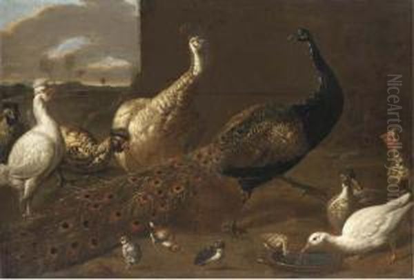 A Peacock, A Peahen, Ducks And Fowl Poultry In A Yard Oil Painting by Adriaen van Utrecht