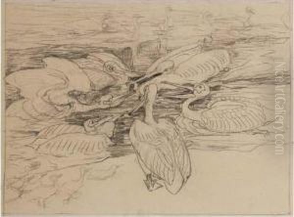 Six Pelicans Fighting Over A Fish Oil Painting by Theodorus Van Hoytema