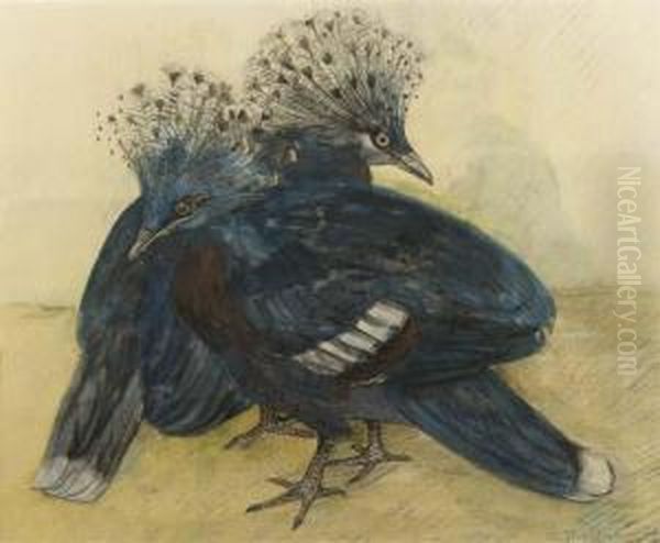 Two Crown Pigeons Oil Painting by Theodorus Van Hoytema