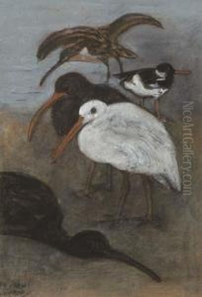 Curlews Oil Painting by Theodorus Van Hoytema