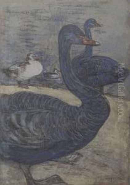 Black Swans Oil Painting by Theodorus Van Hoytema