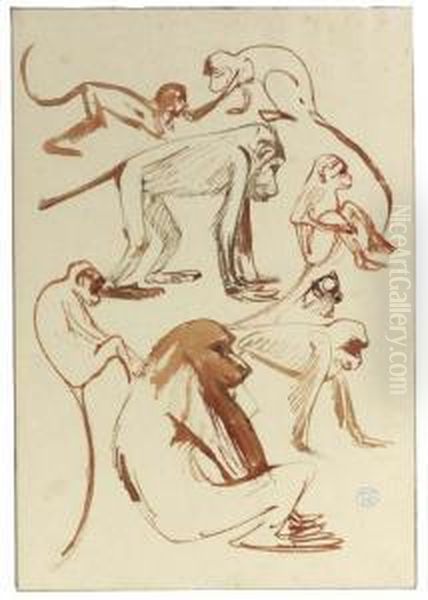 Studies Of A Baboon Oil Painting by Theodorus Van Hoytema