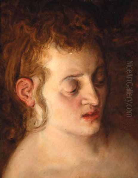 The head of a woman - a study Oil Painting by Frans Floris