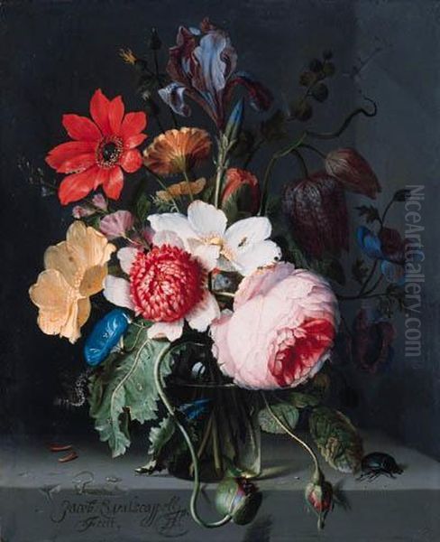 A Paeony, An Iris, A Poppy, 
Anemones, Morning Glory And Otherflowers In A Glass Vase With A Beetle 
On A Stone Shelf Oil Painting by Jacob van Walscapelle