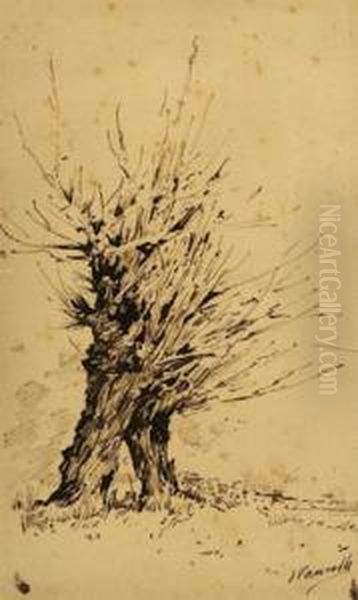 Arbol Oil Painting by Joaquin Vancells Y Vieta