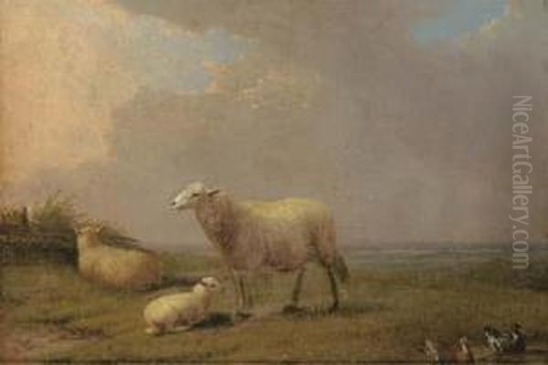 Sheep And Ducks In A Field Oil Painting by Francois Vandeverdonck