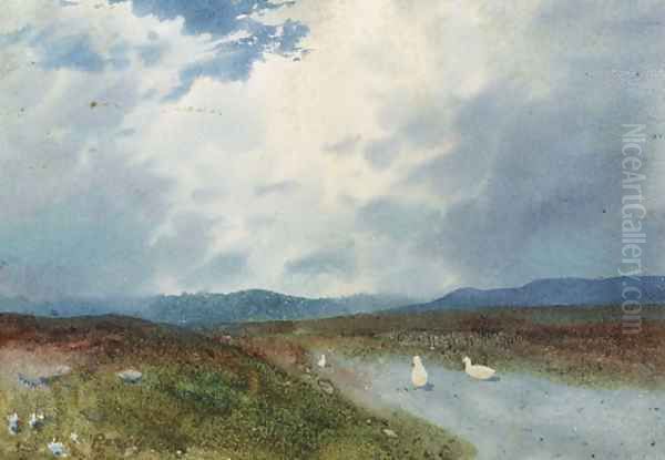 Ducks Oil Painting by William Percy French