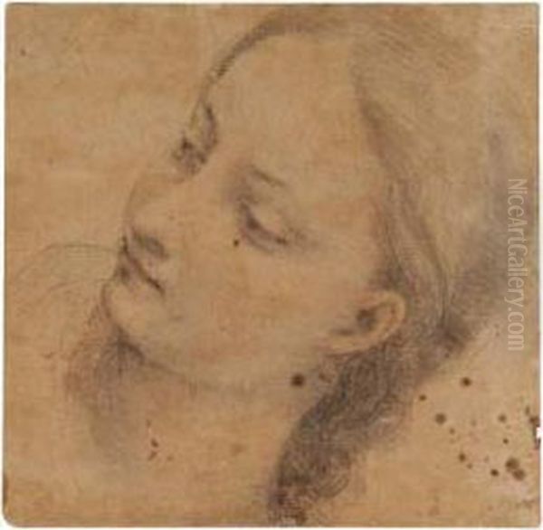 A Study For The Head Of The Virgin Oil Painting by Francesco Vanni