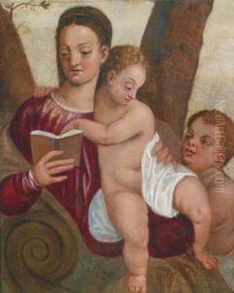 La Madonna Con Bambino E San Giovannino Oil Painting by (Alessandro) Padovanino (Varotari)