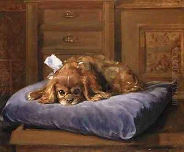 King Charles Spaniel Oil Painting by C. Fulton