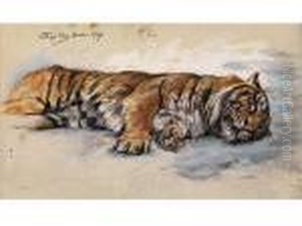 Schlafender Tiger Oil Painting by Geza Vastagh