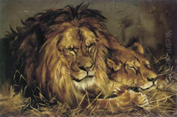 A Lion And Lioness Resting Oil Painting by Geza Vastagh