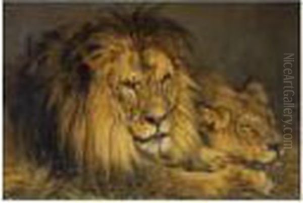 Lion And Lioness In Repose Oil Painting by Geza Vastagh