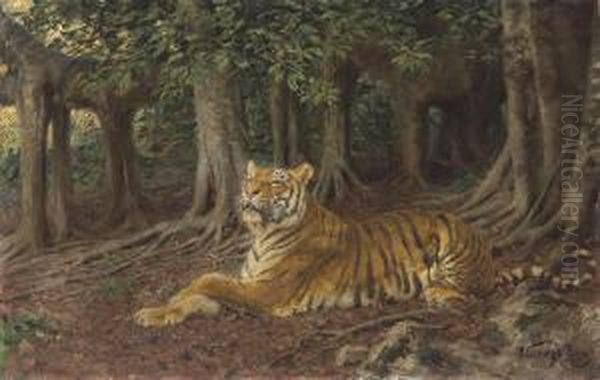 Reclining Tiger In The Woods Oil Painting by Geza Vastagh