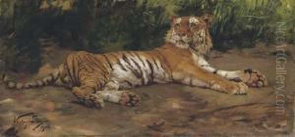 A Reclining Tiger Oil Painting by Geza Vastagh