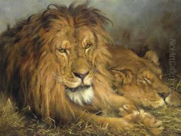 A Lion And A Lioness Oil Painting by Geza Vastagh