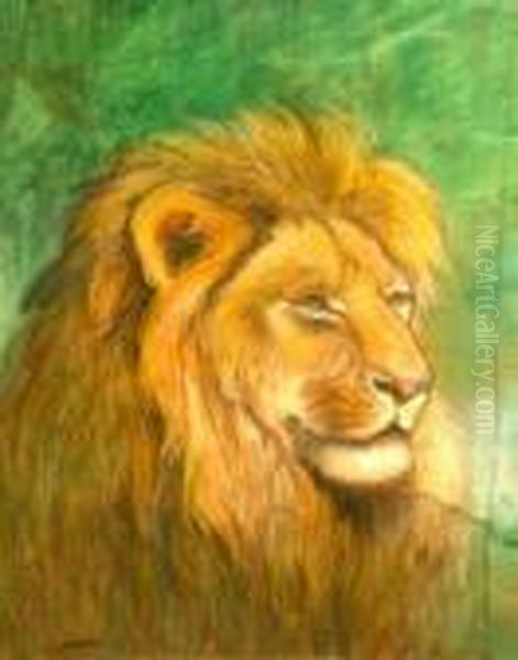 Hungarian -- Portrait Of A Lion; Coloured Chalk, Signed Lower Left, 49x39cm Oil Painting by Geza Vastagh