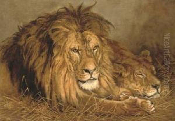 A Lion And A Lioness Oil Painting by Geza Vastagh