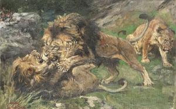 Lions At Play Oil Painting by Geza Vastagh