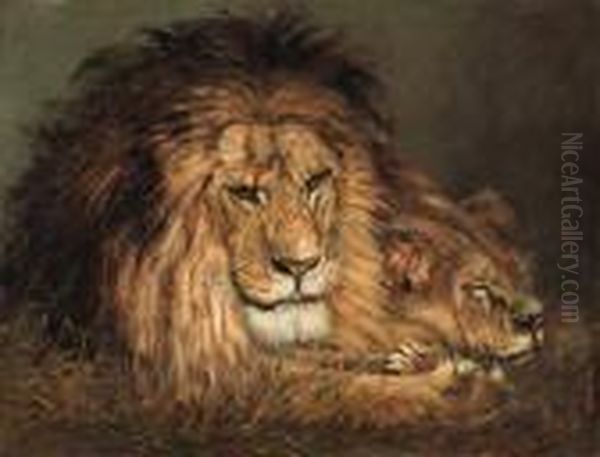 A Lion And Lioness Resting Oil Painting by Geza Vastagh