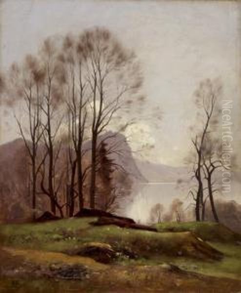 Baume Im Herbst An Einem Seeufer Oil Painting by Auguste Louis Veillon