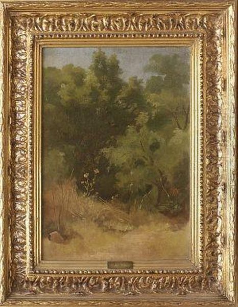 Arboles Y Vegetacion. Oil Painting by Jose Maria Velasco