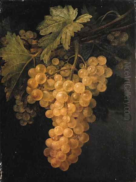 A bunch of white grapes on the vine Oil Painting by Francisco Lacoma Y Fontanet